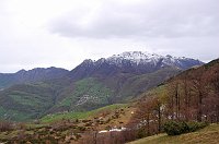Giro ad anello sulla testata di Valle Imagna da Fuipiano: Zuc di Valbona > I Canti > Tre Faggi il 19 aprile 09  - FOTOGALLERY